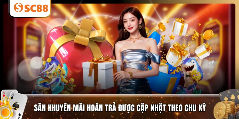 Săn khuyến mãi hoàn trả được cập nhật theo chu kỳ 