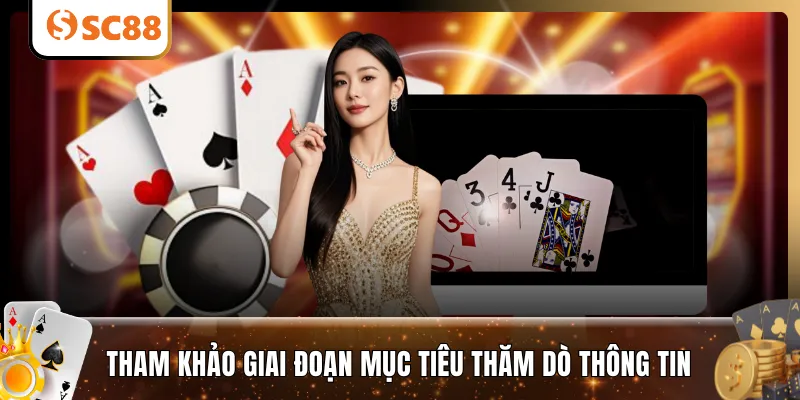 Tham khảo giai đoạn mục tiêu thăm dò thông tin